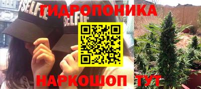 ПСИЛОЦИБИНОВЫЕ ГРИБЫ Новодвинск