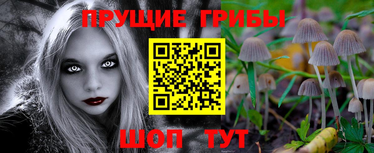 Галлюциногенные грибы Cubensis Севастополь