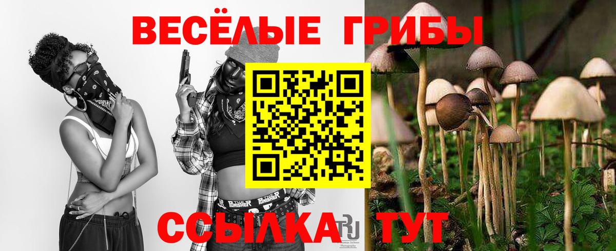 Галлюциногенные грибы Cubensis  Псилоцибиновые грибы Cubensis  Севастополь  Вход с VPN 